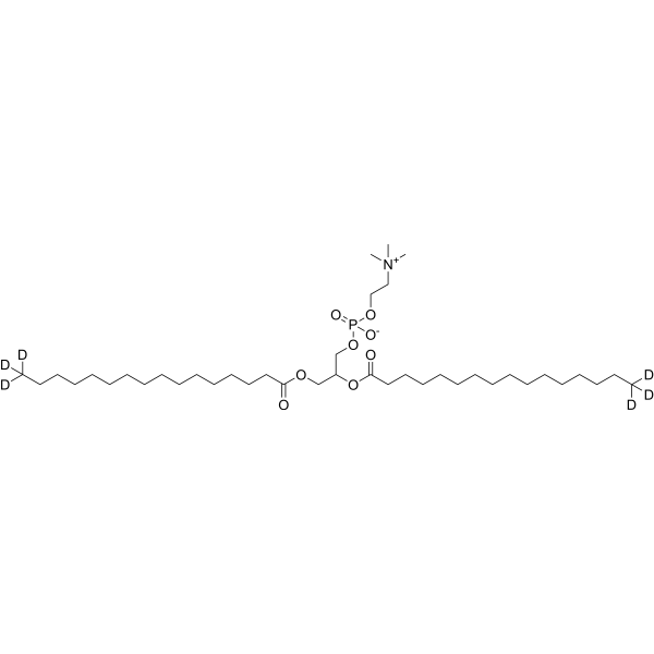 (Rac)-DPPC-d6 82765-17-1